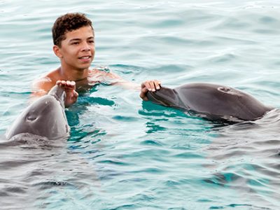 Dolphin Encounter