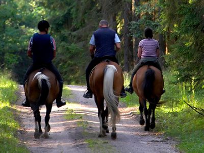 Horseback Riding