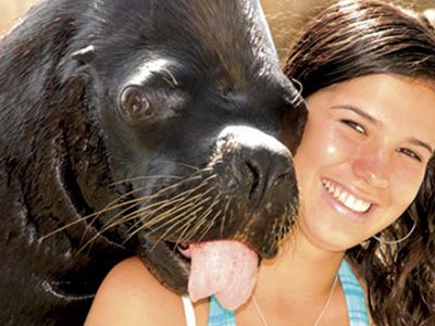 Sea Lion Encounter